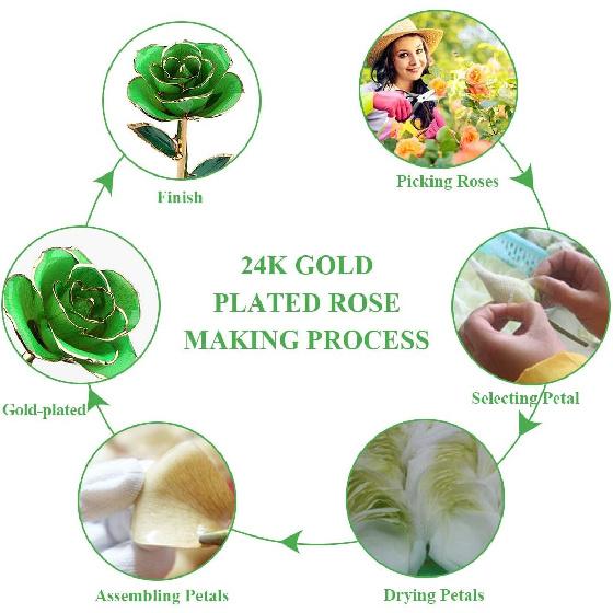 24K Green Rose for Her, Eternal Love Real Gold Plated Rose Flower, Best Present for Wife/Mom/Girlfriend Anniversary, Wedding, Birthday, Graduation