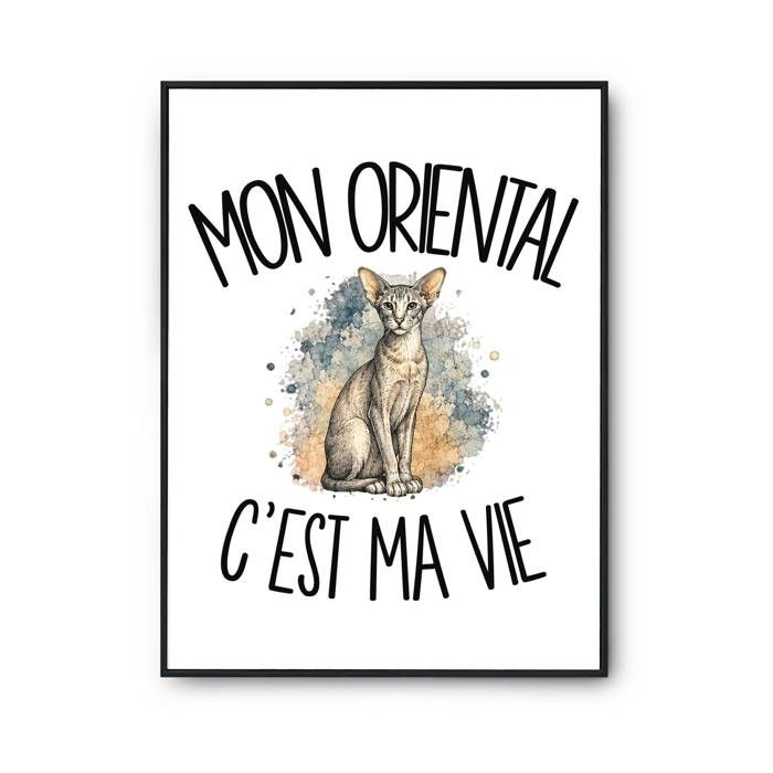 Poster Mon Oriental c'est ma vie | Affiche Papier Photo 310 g Finition Perlée Format Taille A4 | Décoration Murale Salon Chambre