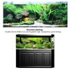PVC Adhesive Seabed Small Fish Water Plants Aquarium Background Poster Sticker Fish   Decoration