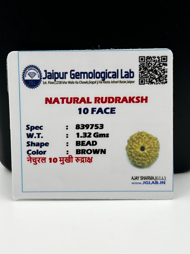 10 Mukhi Indonesia Rudraksha Pendant|925 Silver|Certified Jewelry|Ten Face Rudraksha Necklace|Healing Pendant|Genuine Rudraksha Bead