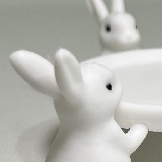 Kaninchen Aufbewahrungsschale 3D Gedruckte Statue mit Weißem Kaninchen Schale Schlüssel Ohrringe Schmuck Ausstellungsständer