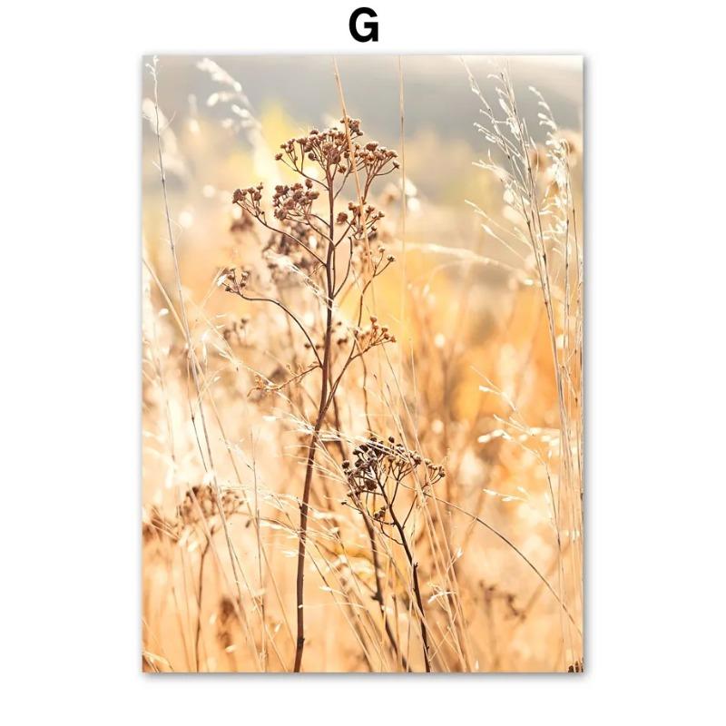 Autumn Natural Pumpkin Car Field Matisse Abstract Posters Prints Wall Art Canvas Painting Wall Pictures For Living Room Decor