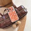 Apple 17 Pro Max Window 14 Stars Deer Rabbit iPhone 15/16 Pro Case with Lanyard