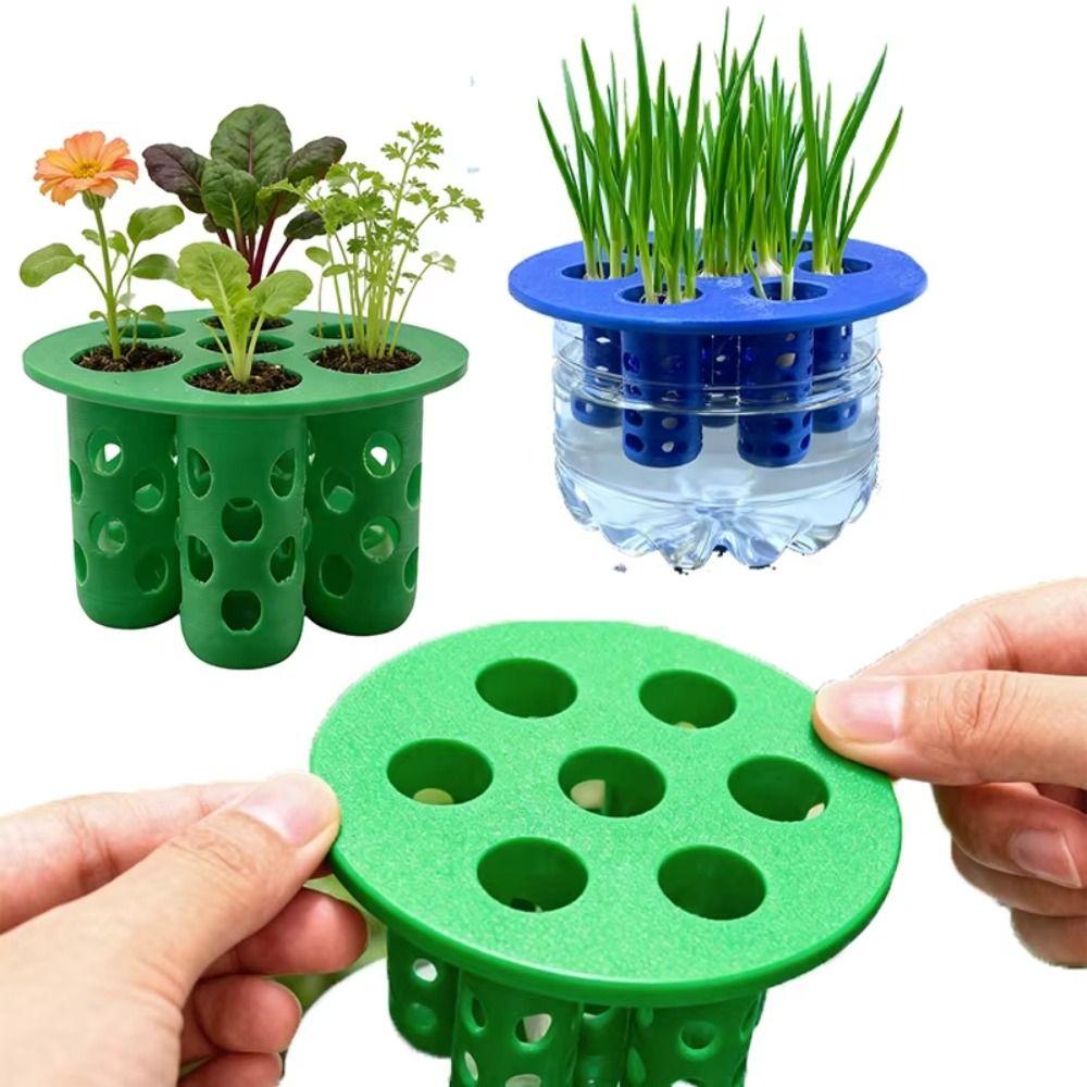 No Soil Seed Germination Tray Plant Growing Tool  for Flowering Plants Compact Green Tray