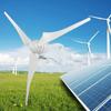 S3 300W Wind Turbine Generator 300W 3PCS 630mm Wind Blades Power Windmill (24V)