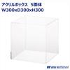 Suzuki Plastics 5-sided Acrylic Box, W300 X D300 X H300