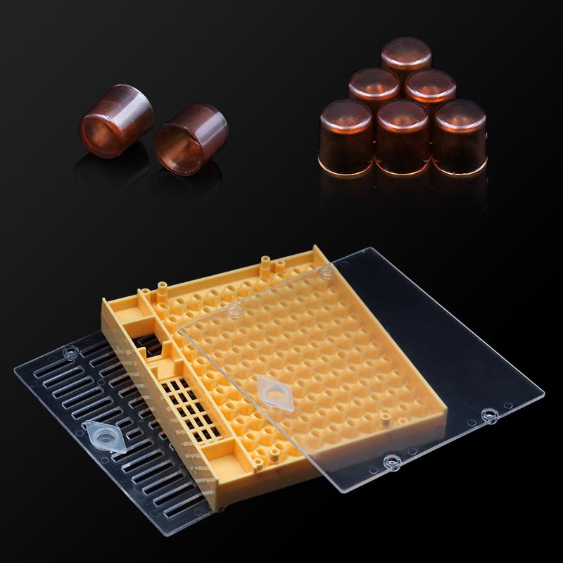 Beekeeping  Queen Rearing Cell Cup Box Kit Plastic Honeycombs Queen Cage Isolation Apiculture Equipment Accessories