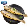 Haimingwei Frozen Gutted Yellow Croaker 750g