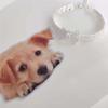 Cat and Dog Jewelry Puppy Accessories Dog Chain Pet Collar Pet Supplies Dog Necklace Cat Jewelry