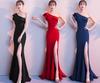 Long Mermaid Tight Cabaret Party Reunion Slimming Concert Reception Wedding Dress [polar Lander] Dress, Dress, Fit, Sleeveless, Dress, Dress, Dress,