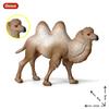 Oenux Simulation Wild Animals Toy Desert Camel Donkey Alpaca Antelope Elk Deer Model Action Figures PVC Decoration Kids Gift