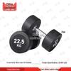 Zhongque Commercial Fixed PEV Coated Dumbbell