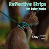 Cat Puppy Outdoor Walking Supplies Fashion Pet Harness And Leash Set For Small Dogs Cats Breathable Durable Kitten Harnesses