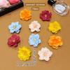 10 color random flower hair clips, braided hair accessories for daily use