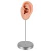 Zinc Zinc Alloy Stand Silicone Ear Model Piercable Earrings Display Stand Human Ear Model Rack  Girls Women