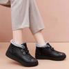 Winter New Style Shoes Thick Warm Shoes Non-Slip Soft Sole Snow Boots Women Shoes