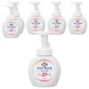 Ikkekke Hand Wash Bottle Type Fresh Lemon Scent 250ml 6 Pcs