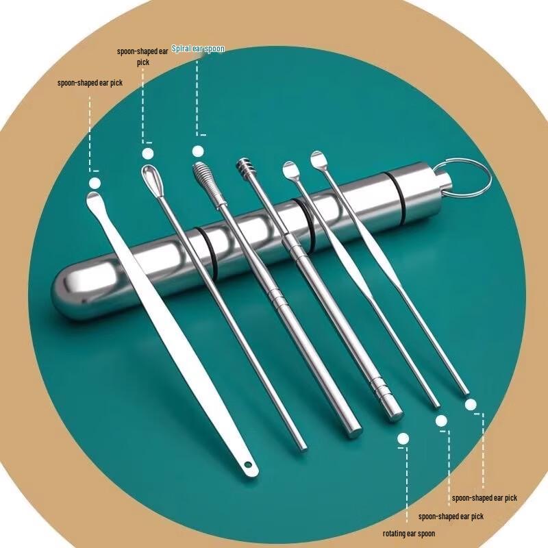6-Piece Stainless Steel Earwax Removal Kit