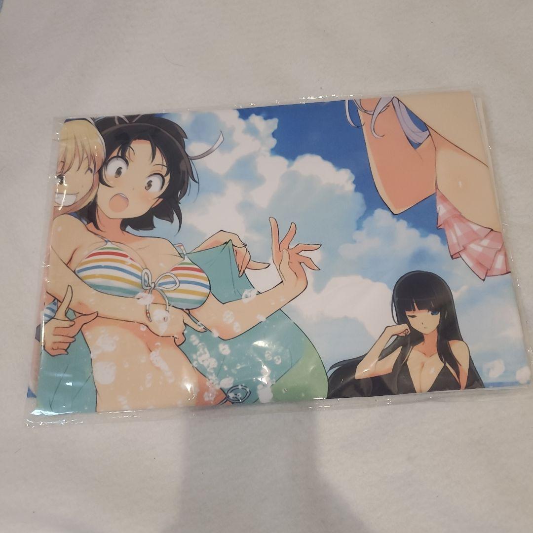 

[USED] Senran Kagura: True Shadow of Girls purchase bonus cloth poster