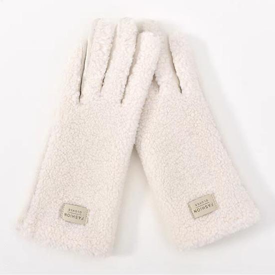 Damen Winter Wildlederhandschuhe Warme Fuzzy Touchscreen-Handschuhe Einfarbig Winddicht Plüschgefütterte Handschuhe zum Fahren Pendeln Einkaufen