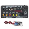 110V 220V 12V digitální deska zesilovače Bluetooth Subwoofer Duální mikrofon Karaoke zesilovač Reproduktor Domácí kino 30W DIY