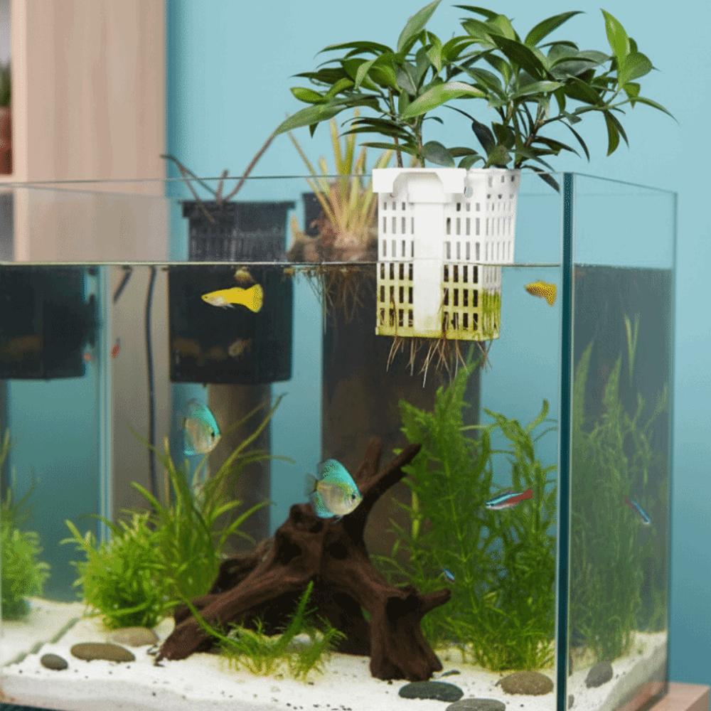 Uitschuifbare Haak Waterplantenhouder Veelzijdig Plantenkweekrek Plantenkweek