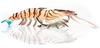 Chasebaits Flick Prawn Heavy 125 mm 15 grams Sinking Lure 02 (8442)