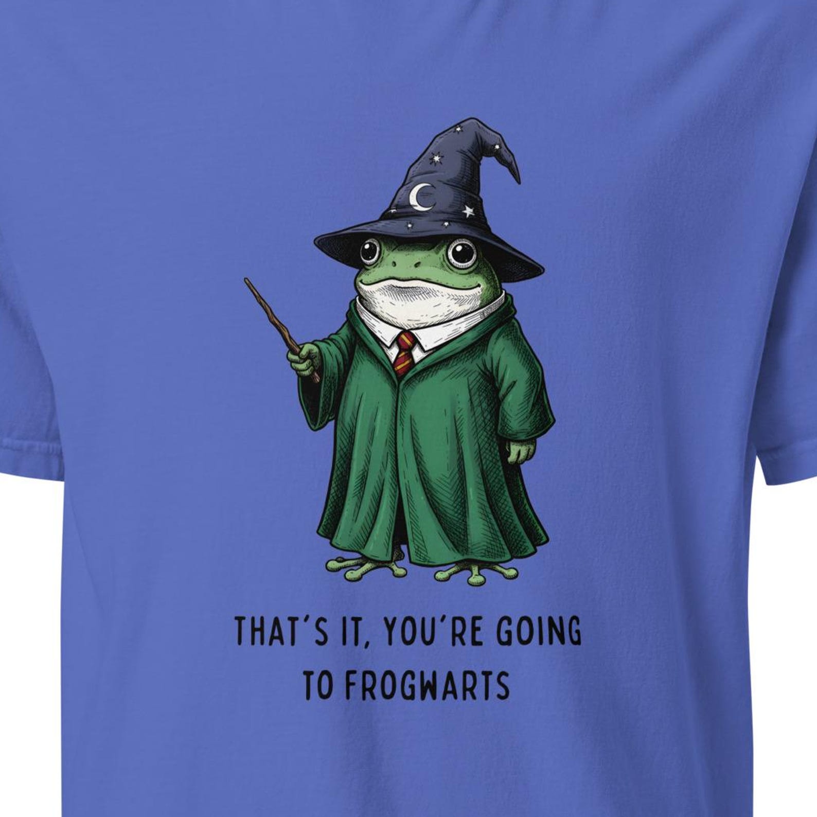 Frogwarts Wizard Frog T-Shirt, Funny Wizard Frog Shirt, Fantasy Humor Shirt, Pun Tee 2XL