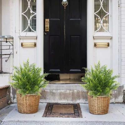 2pc Simulation Of Indoor And Outdoor Potted Plants