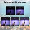 Fish Tanks LED Light Clip Aquariums Light with Flexible Clip Arm Adjustable Angles for Bright Illuminations