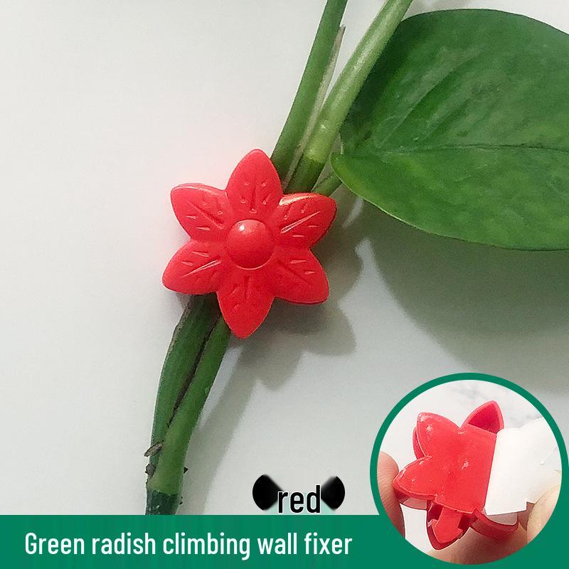 Self-Adhesive Invisible Clips for Wall-Mounting Green Vines and Ivy