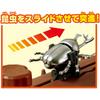 Takara Tomy Ania Insect Battle Stage Toy for Ages 3 and Up with Animals and Dinosaurs