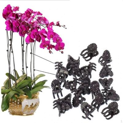 30 Pieces Flower Clips, Vine Clamp Plant Support, Butterfly Orchid Clips Accessories Tools, Garden