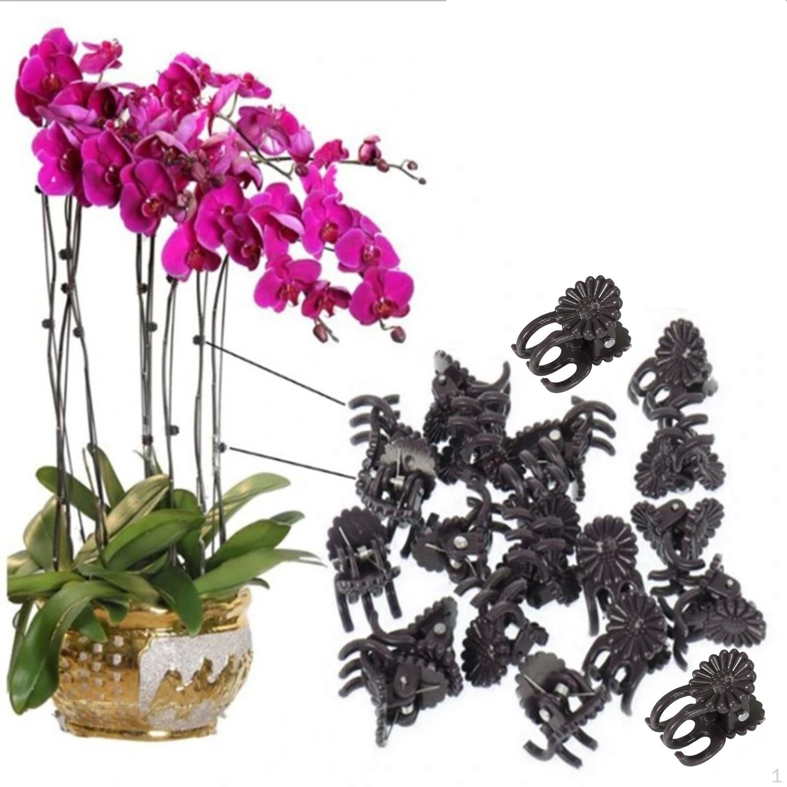 30 Pieces Flower Clips, Vine Clamp Plant Support, Butterfly Orchid Clips Accessories Tools, Garden