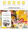 Spring/Autumn Floral Cotton Long-Sleeve Princess Dress for Girls
