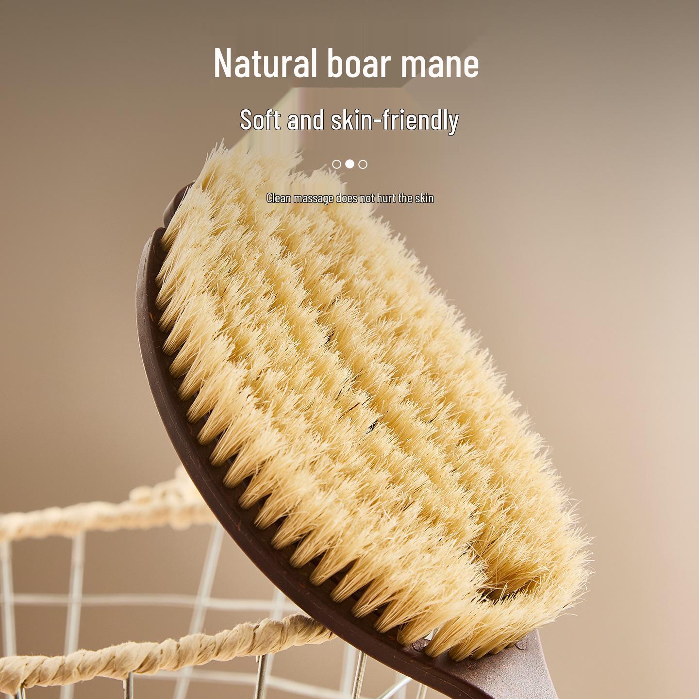 

Coconut Fiber & Boar Bristle Bath Brush - Extra Long 2-in-1 Curved Handle for Dry & Wet Scrubbing