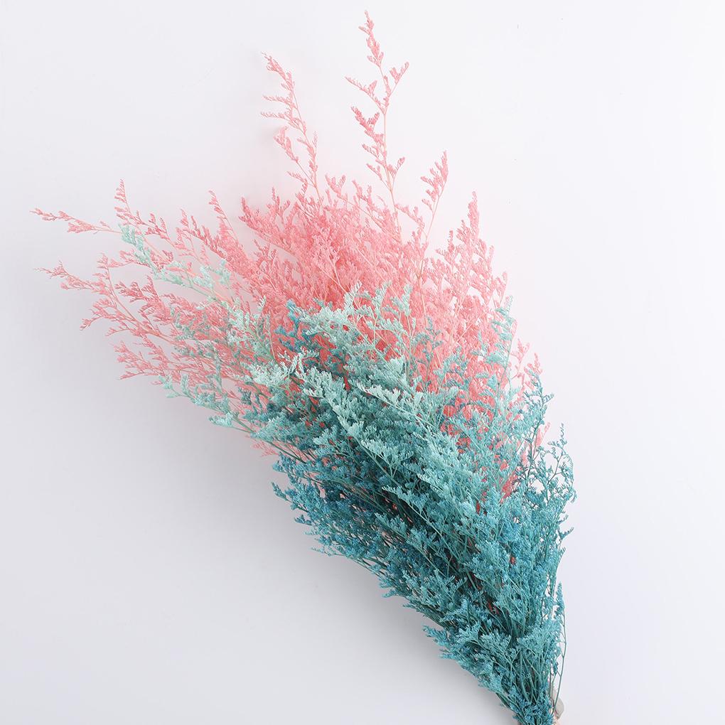 Portable Lightweight Artificial Plant Natural Flowers Cute Lovely Dry Grass Bouquet for Living Room Wedding Home