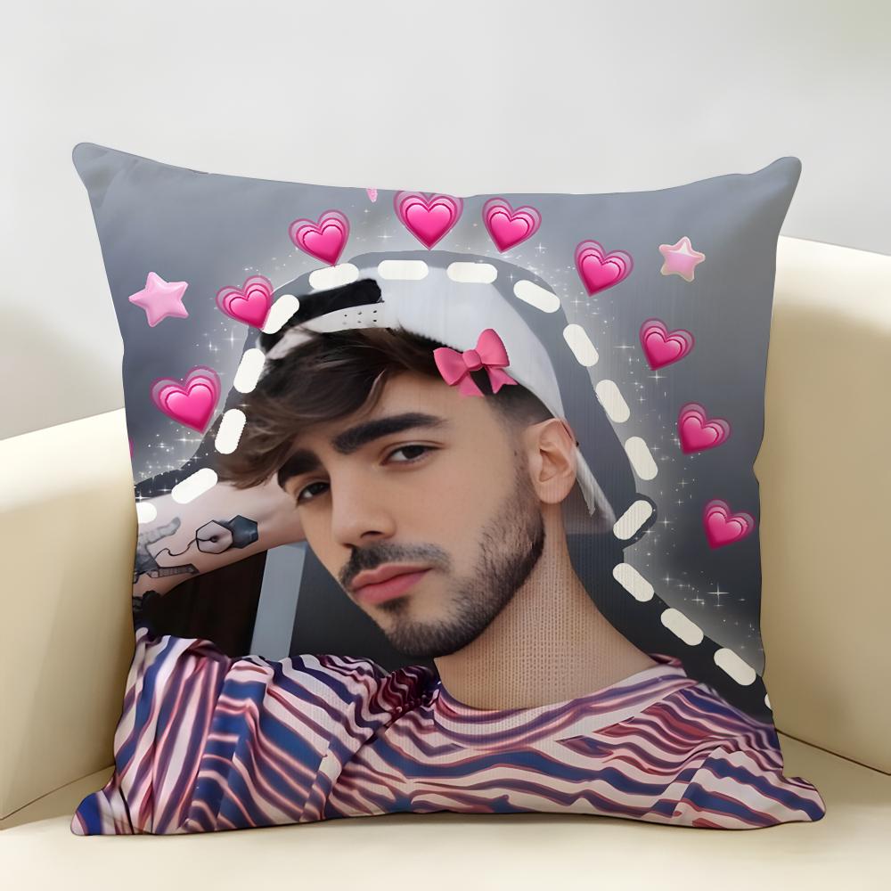 Internet Celebrity Fede VVigevani Cushion Cover Natural Linen Organic Fabric DoubleSided Printing Room Sofa Decor Pillow Case