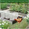Pop-Up Garden Mesh Protector Folding Insect Barrier Netting Plant Cover  Garden