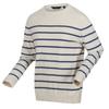 Regatta Mens Cautley Striped Knitted Jumper