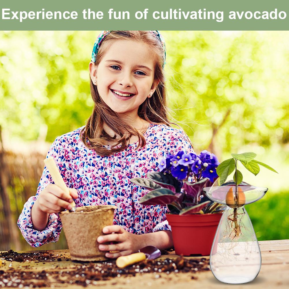 Stacja do rozmnażania roślin Przezroczyste szkło Drzewko awokado Wazon na kwiaty Szklany planter Miłośnicy ogrodnictwa Dekoracja domu