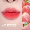 lilybyred Bloody Lyre Coating Tint Sentimental [Authentic Product] (#02 Lychee)
