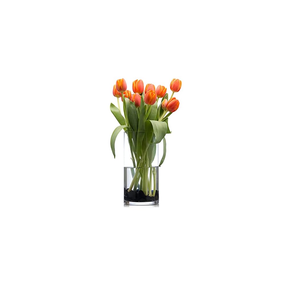 DARENYI Large Glass Vase, 40cm Tall, Clear, Cylindrical Flower Vase, Suitable for Decorating Living