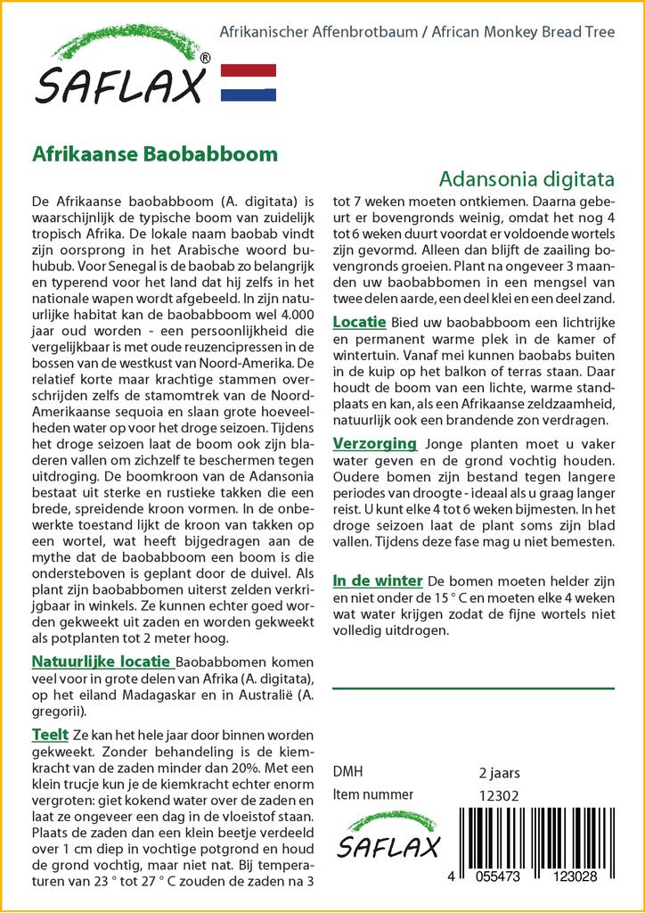 SAFLAX African Monkey Bread Tree - 6 Seeds - Adansonia Digitata