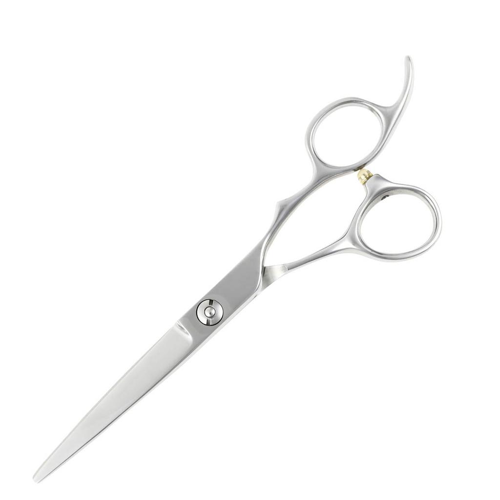 DEEDS GTZ Professional Hairdressing Scissors with Forged from a Japanese Scissor Manufacturer Scissors, 6.0-inch, Finish,