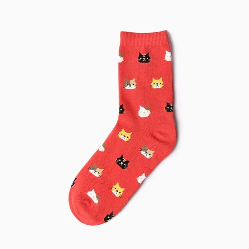 New Cartoon Animal Summer Autumn Cat Lovely For Women Cotton Socks Kitten Meias Sokken Hosiery Ladies Cute Female Dropship