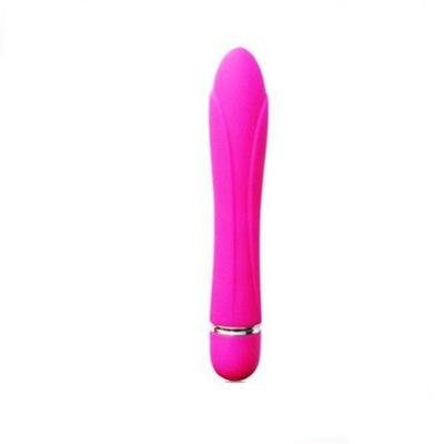 Vibromasseur Stab Rose Rose