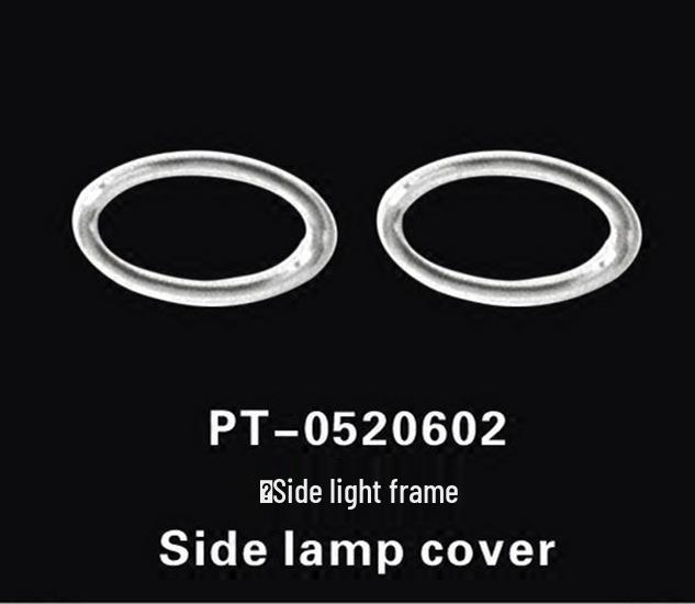 Otai Tail Light, Fog Light, and Side Light Covers for Peugeot 206