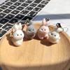 Resin Fluffy Cute Abashed Rabbit Keychains Phone Lanyard For Friend Gift Lovely Bunny Animal Pet Pendant Bag Earphone Case Chain