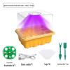 Multi-Color Seedling Box with High/Low Lid & Light for Home Balcony Gardening